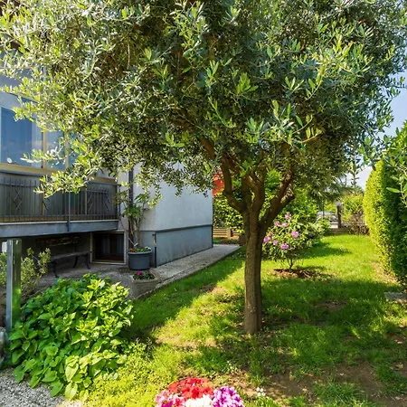 Le Rose Διαμέρισμα